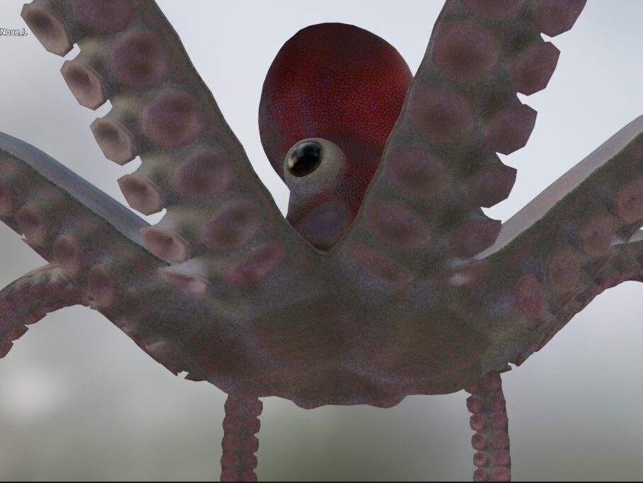 Octopus Low-poly 3D model_6