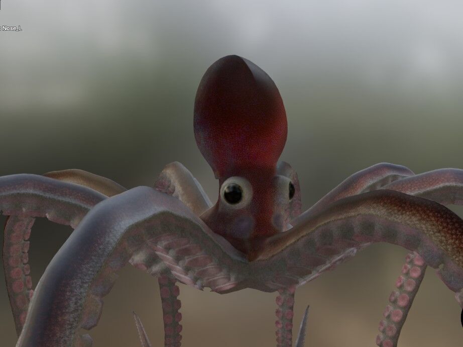 Octopus Low-poly 3D model_7