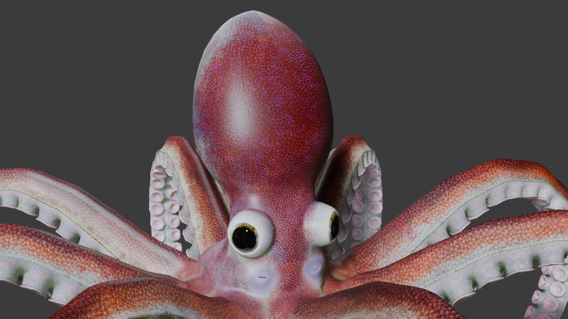 Octopus Low-poly 3D model_3