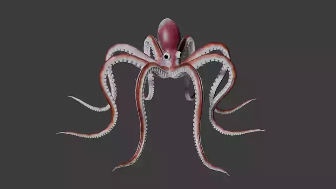 Octopus
