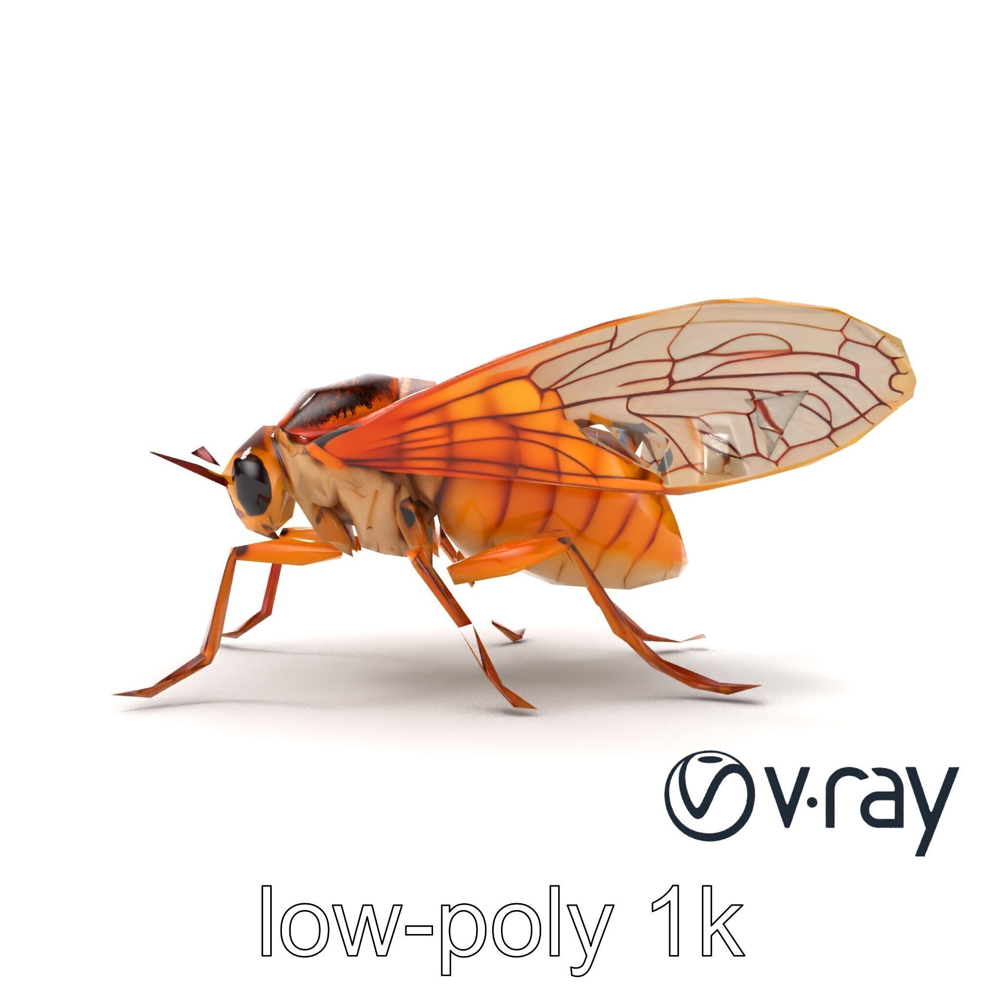 Detailed Cicada Insect Model Pack Low-poly 3D model_15
