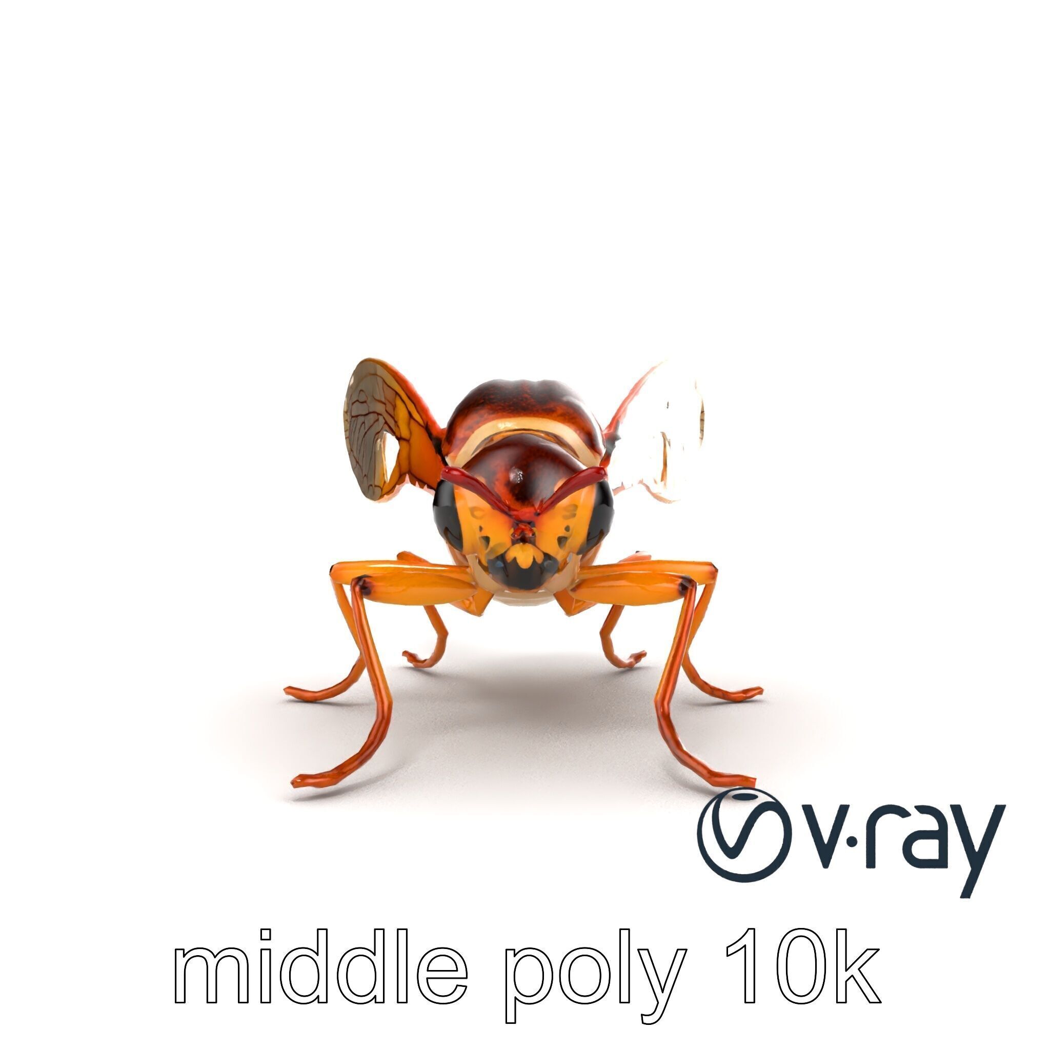 Detailed Cicada Insect Model Pack Low-poly 3D model_31