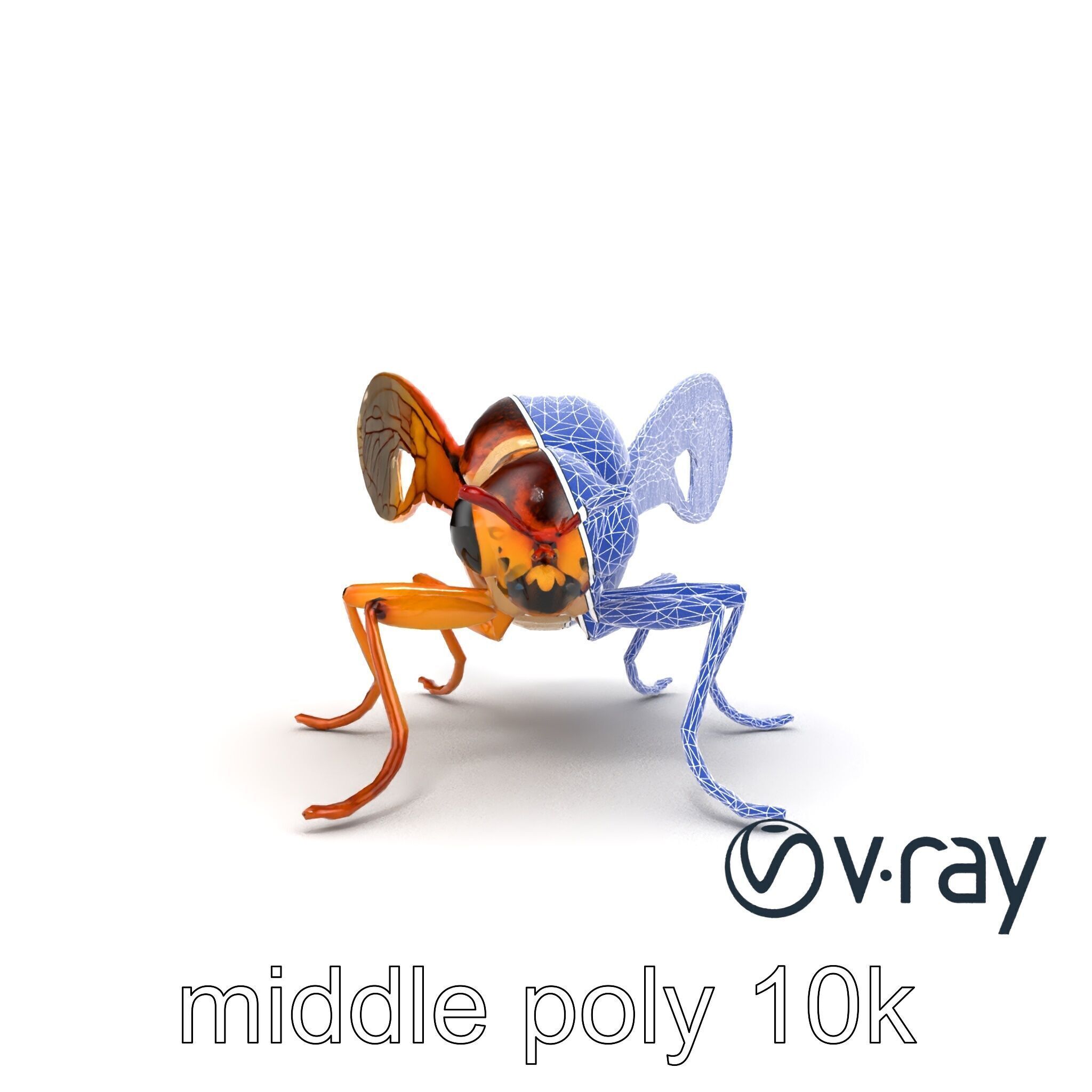 Detailed Cicada Insect Model Pack Low-poly 3D model_24