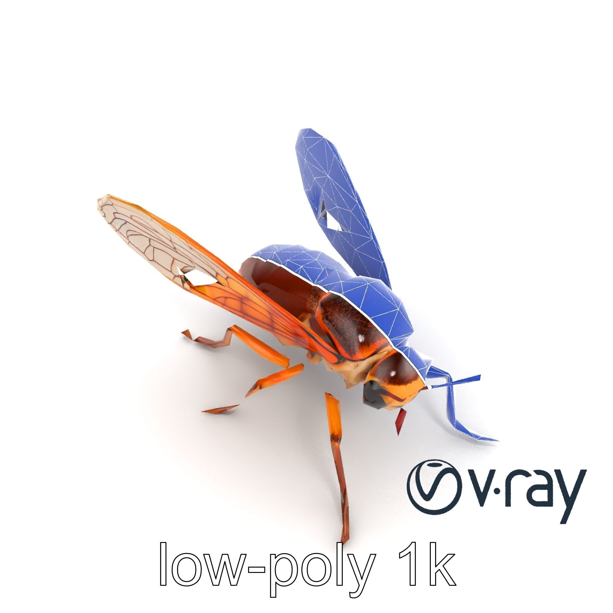 Detailed Cicada Insect Model Pack Low-poly 3D model_13
