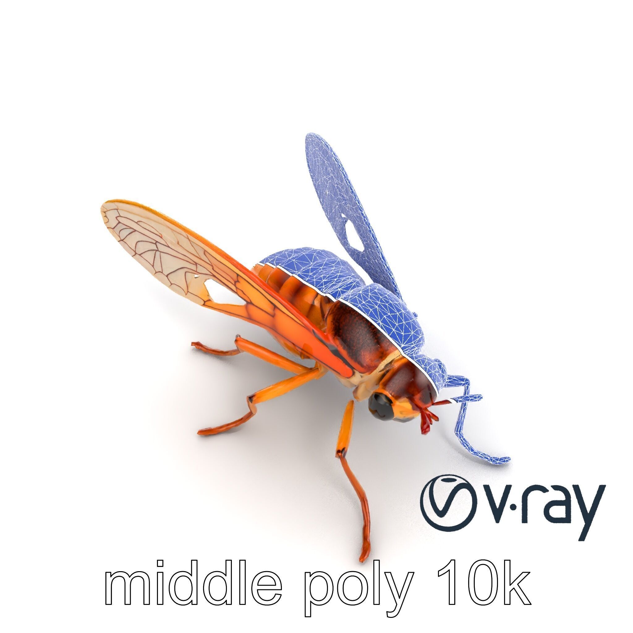 Detailed Cicada Insect Model Pack Low-poly 3D model_28