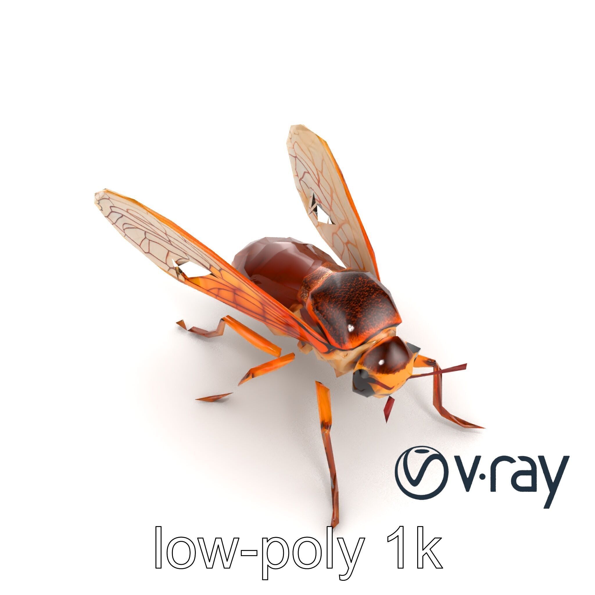 Detailed Cicada Insect Model Pack Low-poly 3D model_18