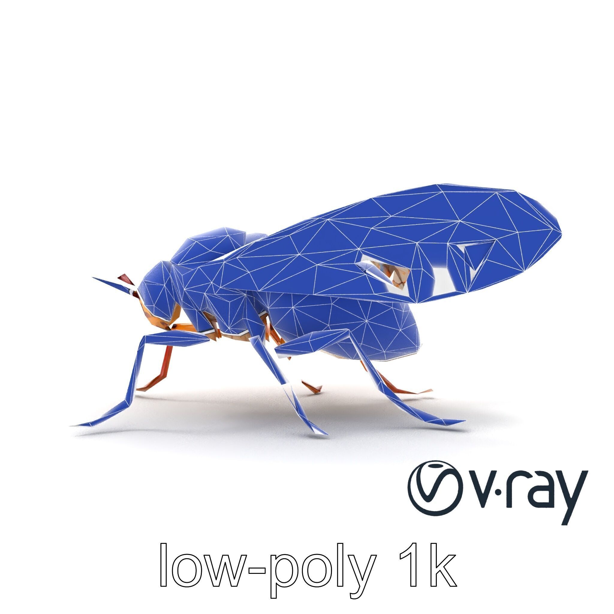 Detailed Cicada Insect Model Pack Low-poly 3D model_17