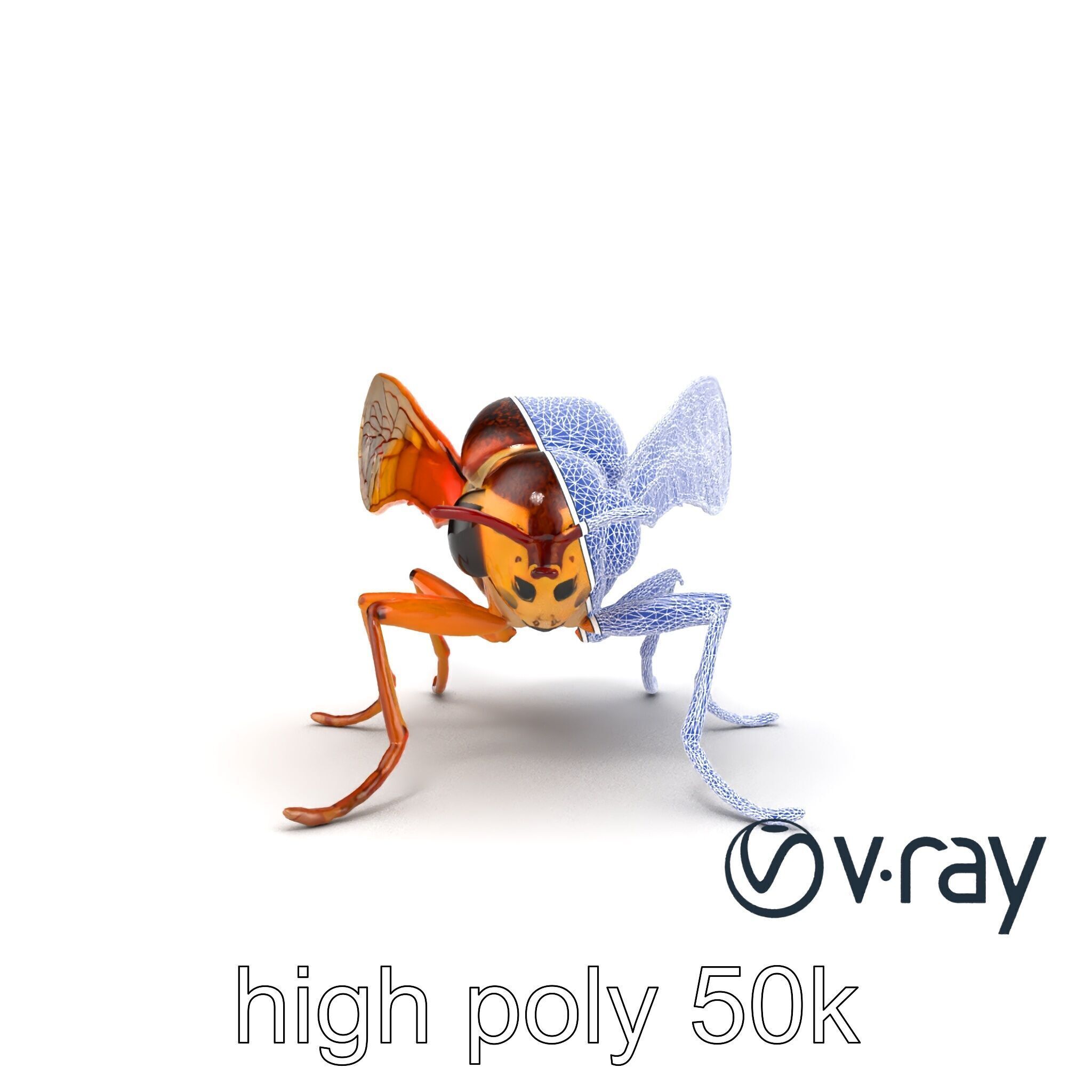 Detailed Cicada Insect Model Pack Low-poly 3D model_16