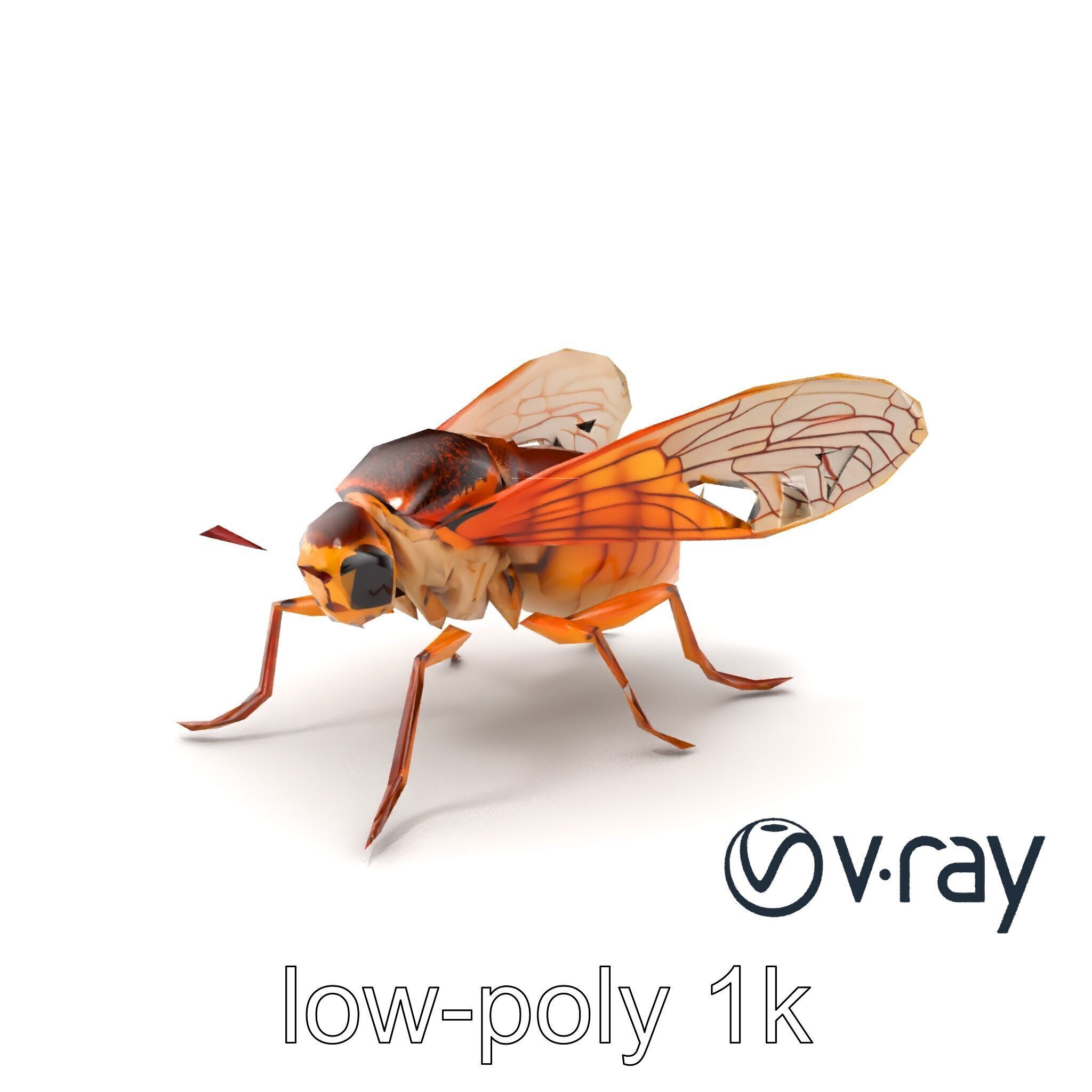 Detailed Cicada Insect Model Pack Low-poly 3D model_2