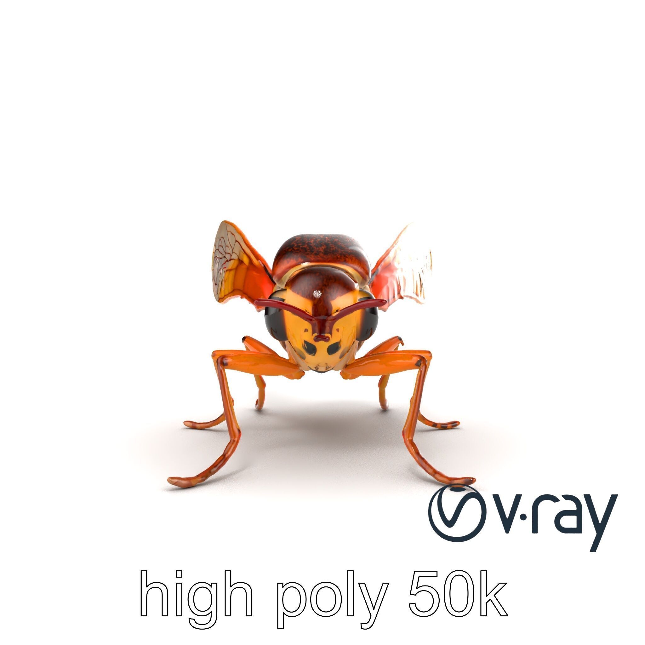 Detailed Cicada Insect Model Pack Low-poly 3D model_25