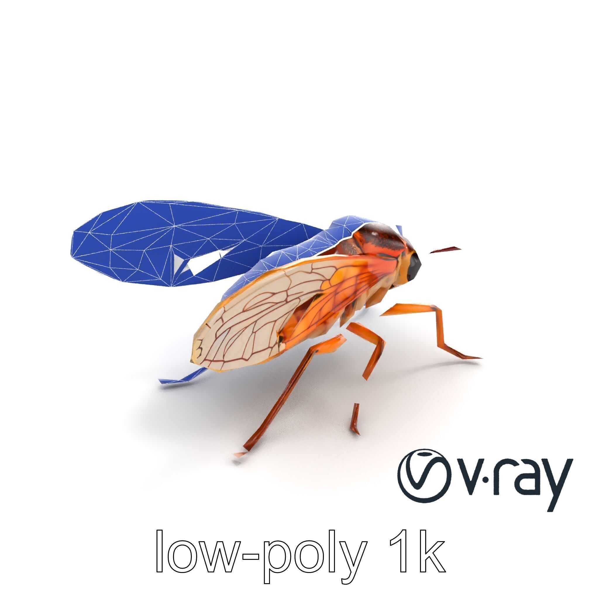 Detailed Cicada Insect Model Pack Low-poly 3D model_12