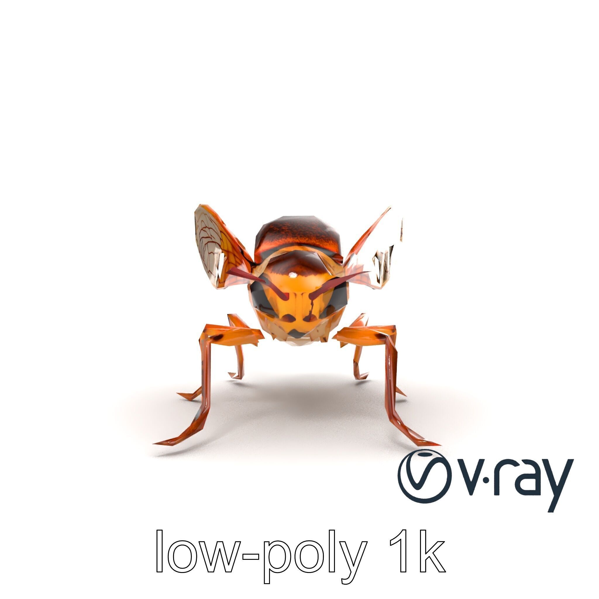 Detailed Cicada Insect Model Pack Low-poly 3D model_26