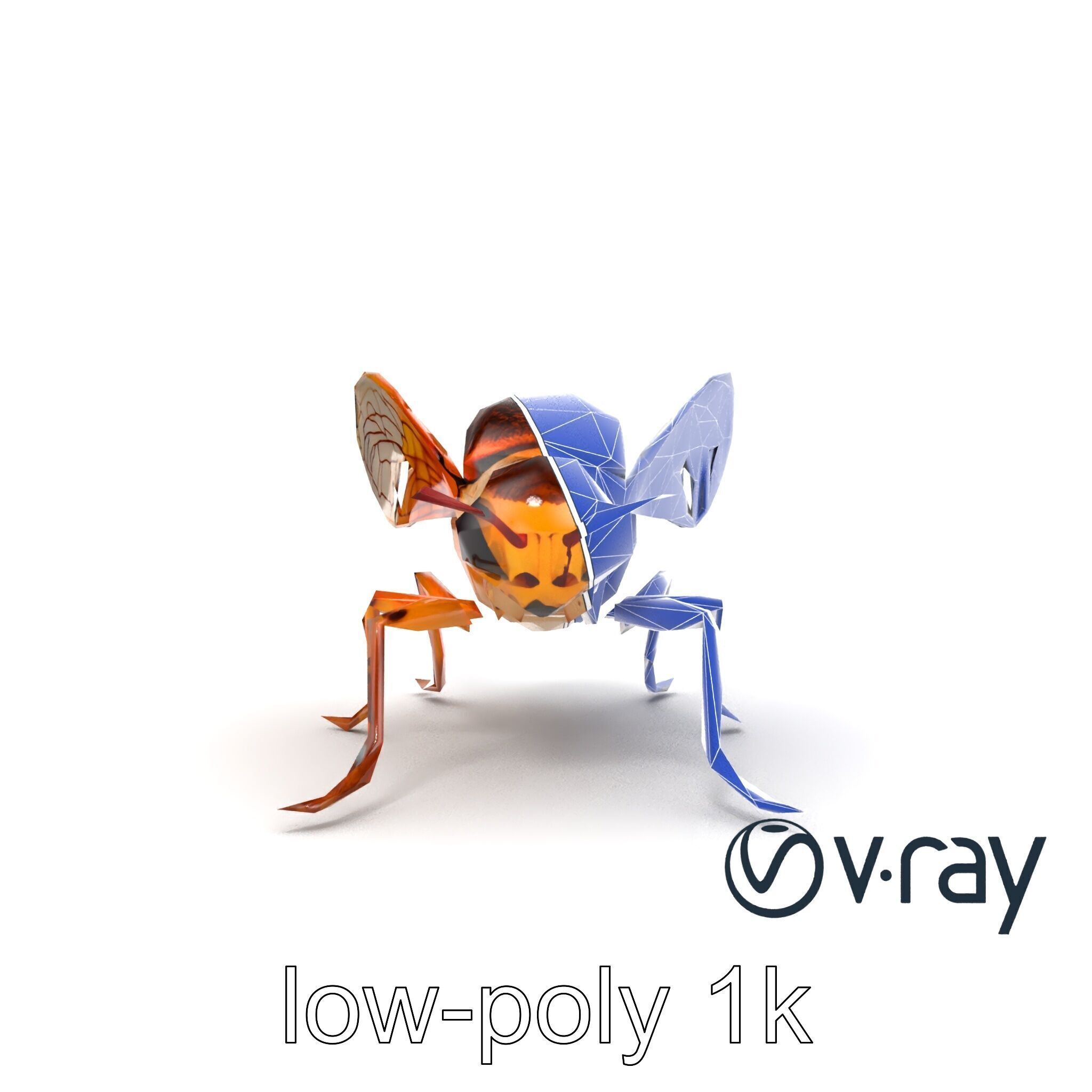 Detailed Cicada Insect Model Pack Low-poly 3D model_19
