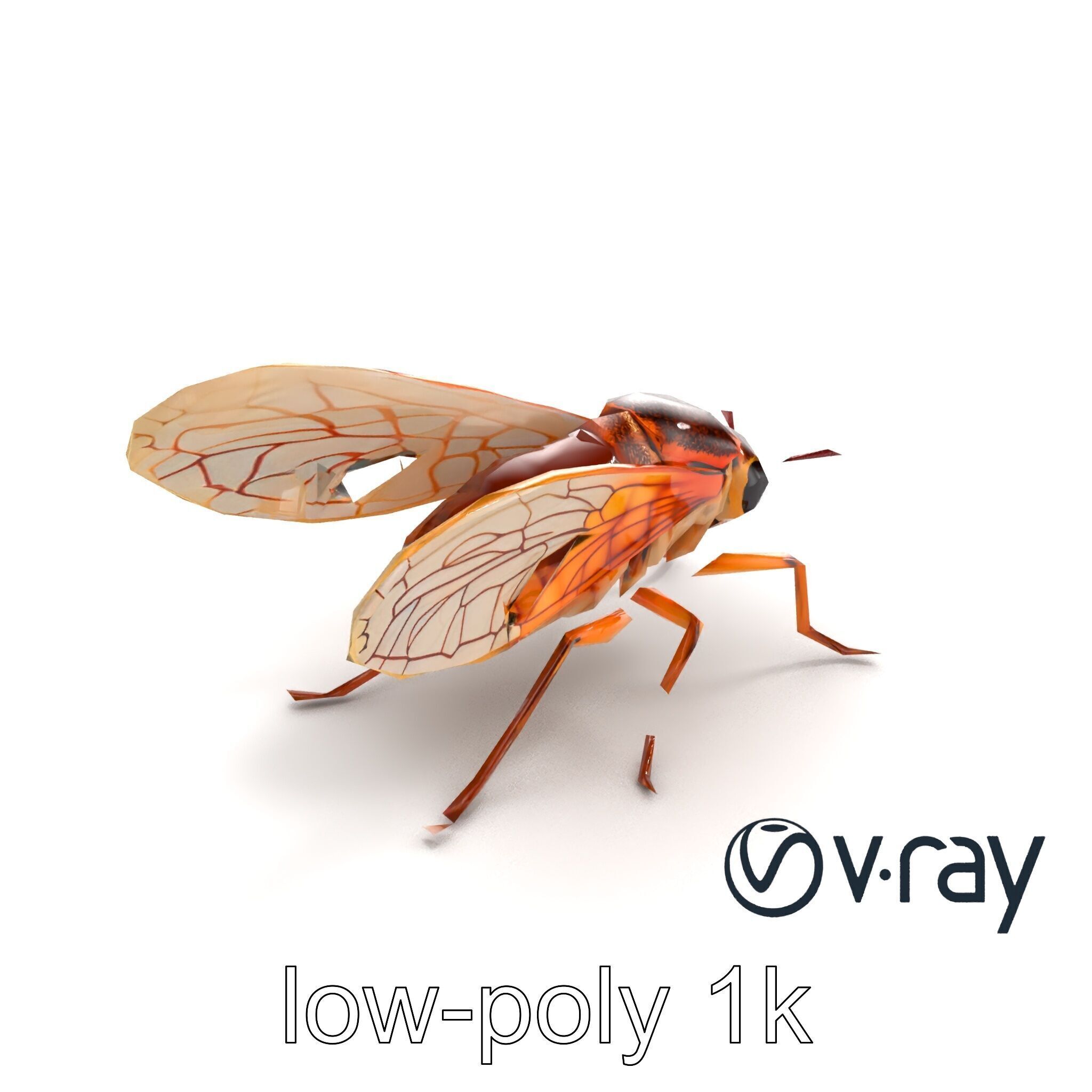 Detailed Cicada Insect Model Pack Low-poly 3D model_10