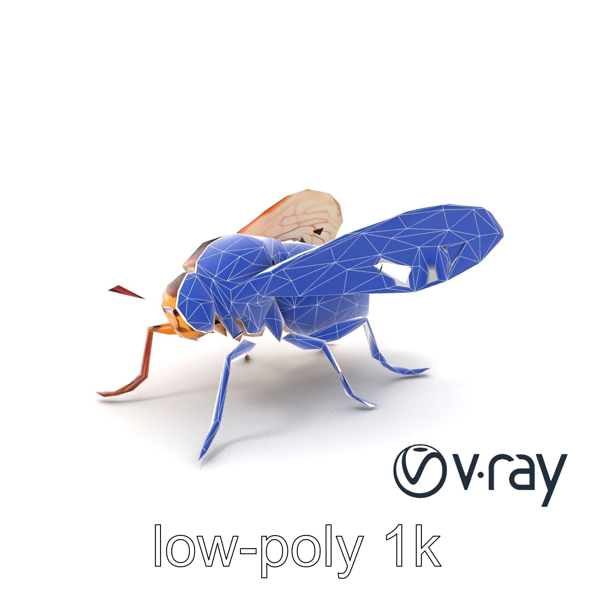 Detailed Cicada Insect Model Pack Low-poly 3D model_7