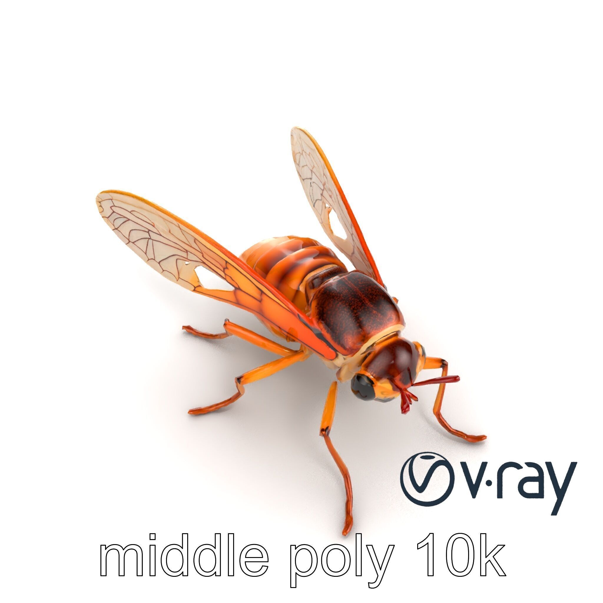 Detailed Cicada Insect Model Pack Low-poly 3D model_22
