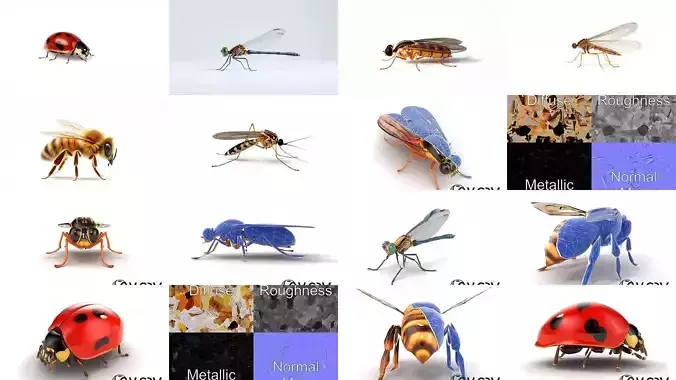 Entomological 3D Models Pack 3D Model Collection
