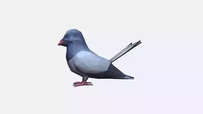 3d  Model Pigeon Colorful Shimmering City Pigeon