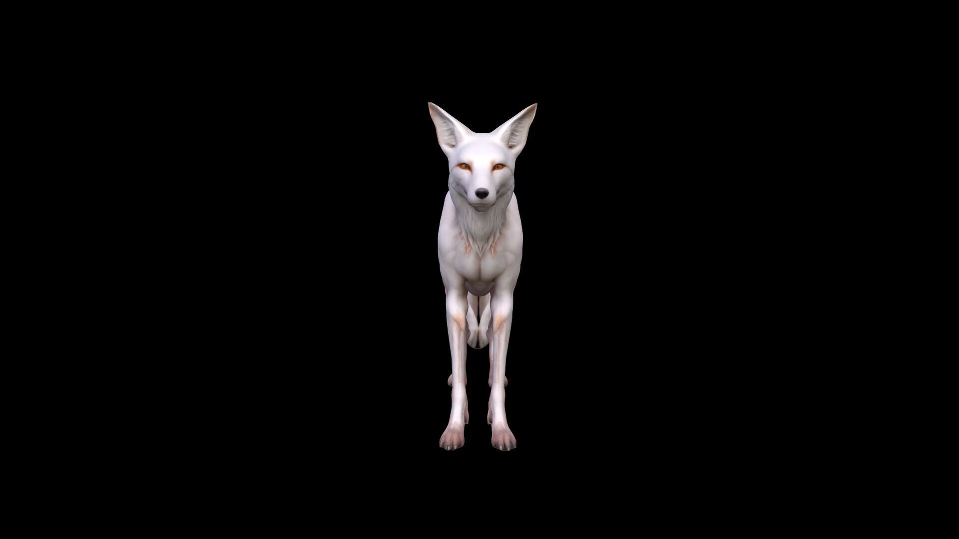  3d  Model White An Albino Fox With Fiery Red Eyes 3D model_2