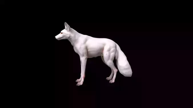  3d  Model White An Albino Fox With Fiery Red Eyes 3D model