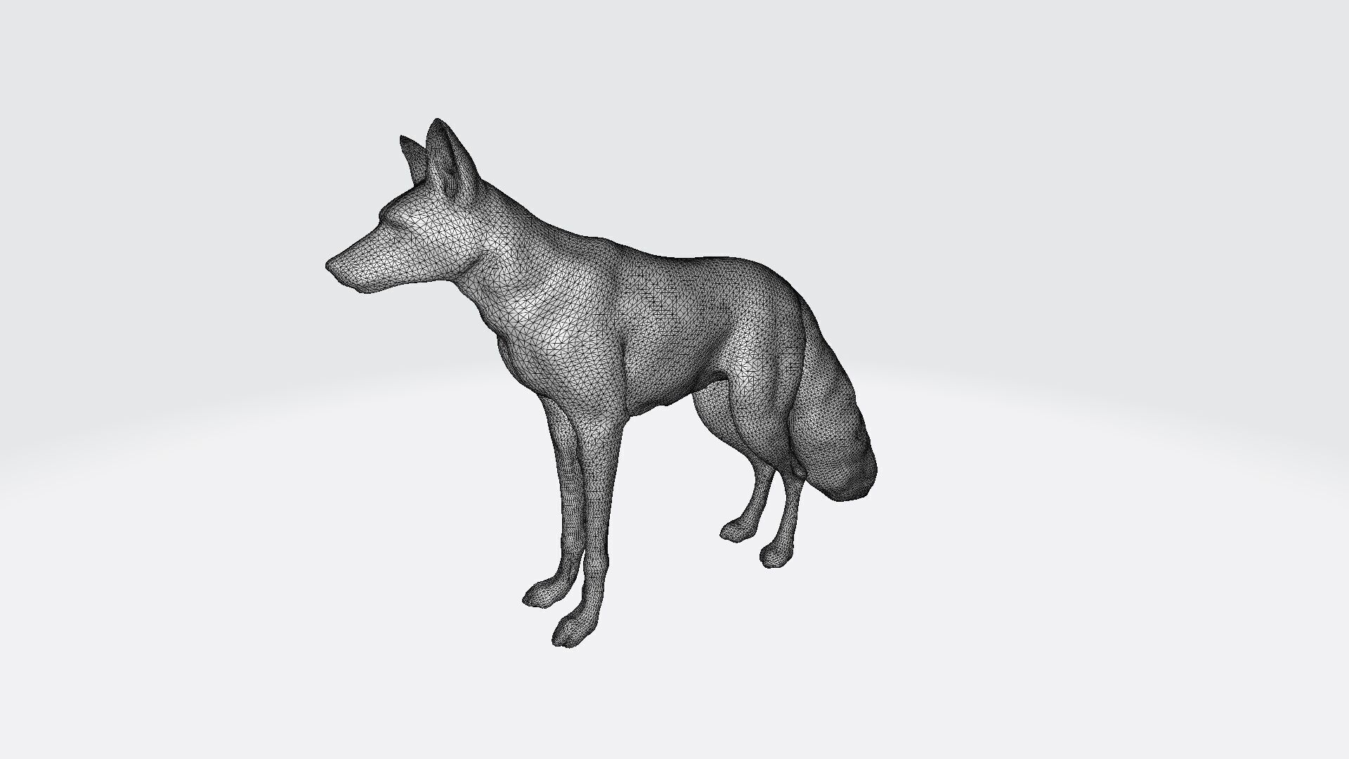  3d  Model White An Albino Fox With Fiery Red Eyes 3D model_6