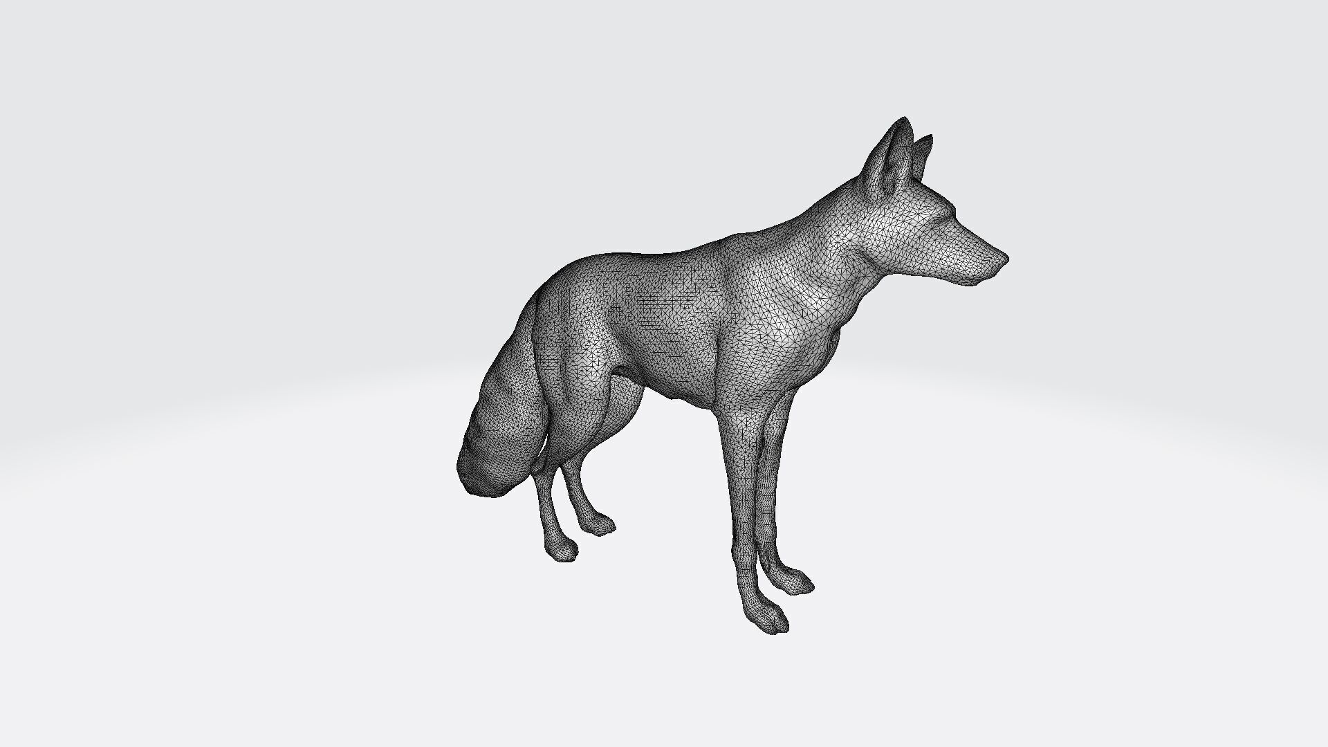  3d  Model White An Albino Fox With Fiery Red Eyes 3D model_7