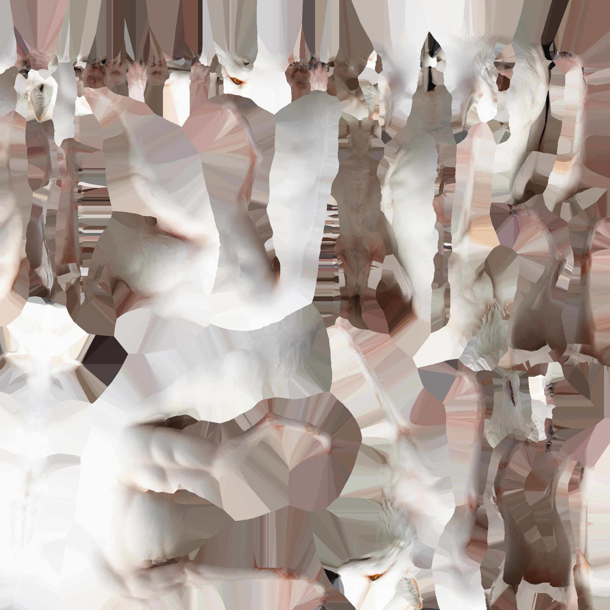  3d  Model White An Albino Fox With Fiery Red Eyes 3D model_8