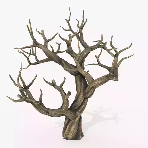 Aquarium Snag V1 2 3D model
