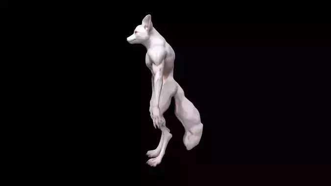 White Albino Fox In Autumn Forest 3d Model High Resolution 3D model