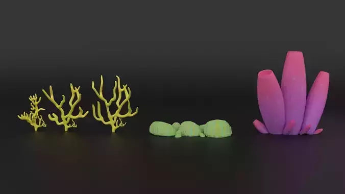 Coral Collection  Low Poly 3D Model
