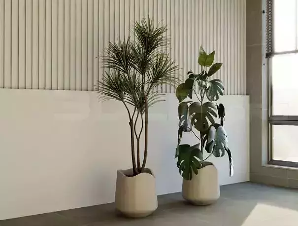 123456 3Ds Max Plant Model