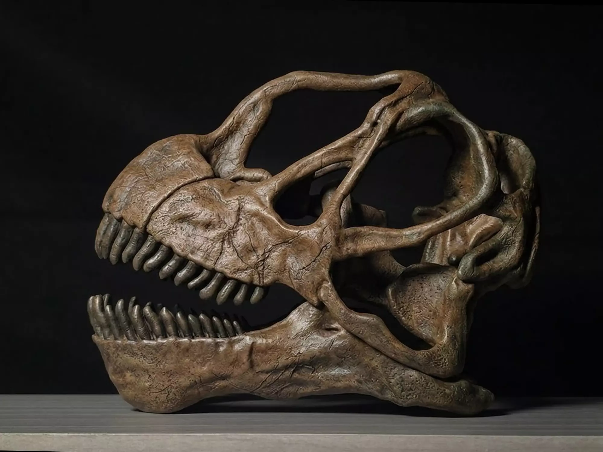 Camarasaurus Skull 3D print model