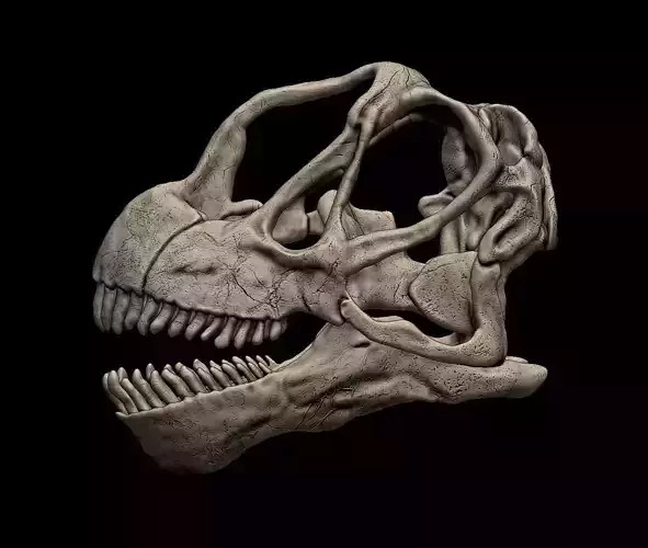 Camarasaurus Skull 3D print model