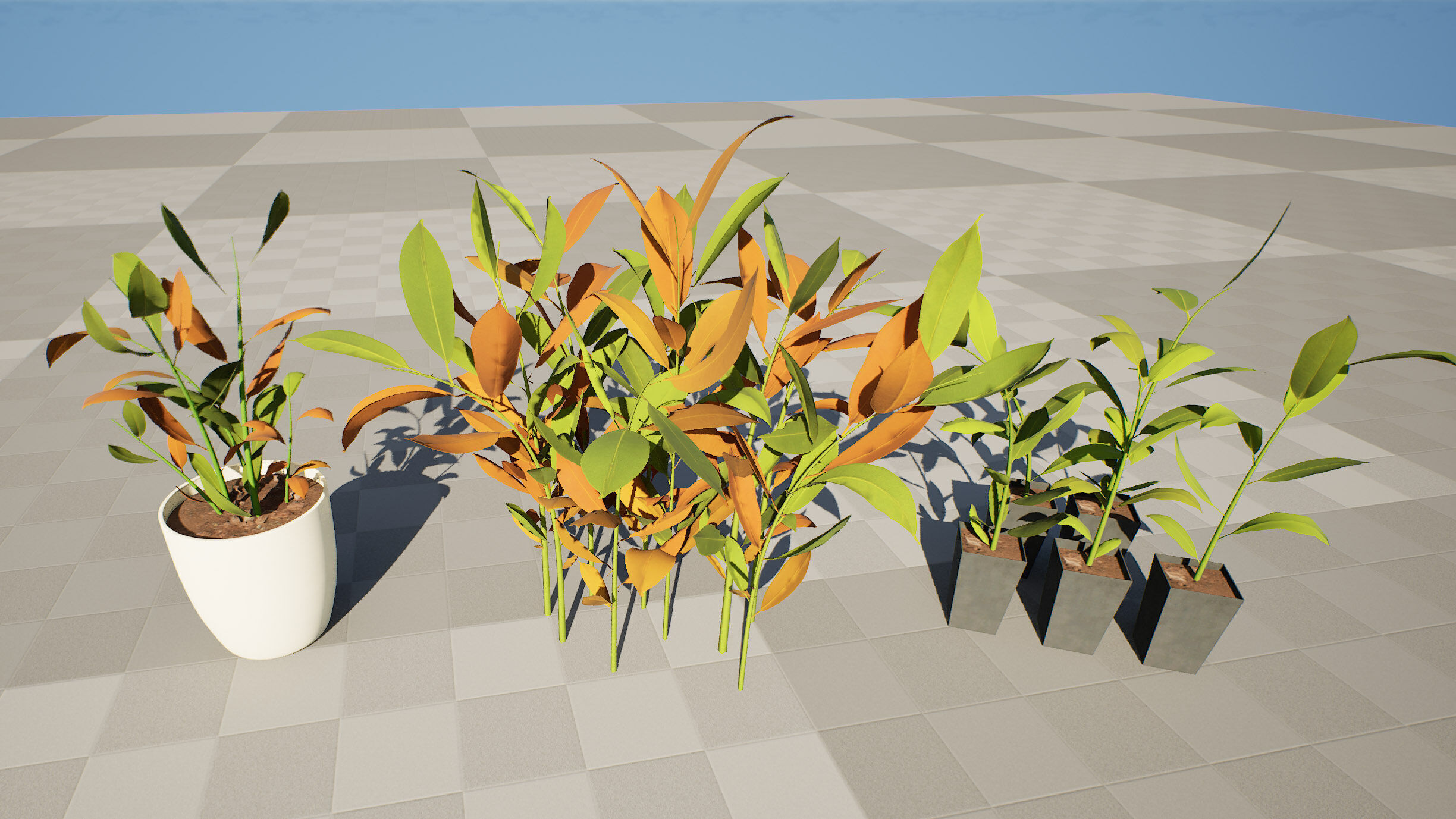 Australian Ginger Alpinia Caerulea Low-poly 3D model_9