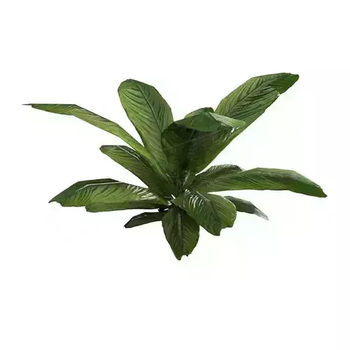 Plant Flora Artificial Low-poly 3D model