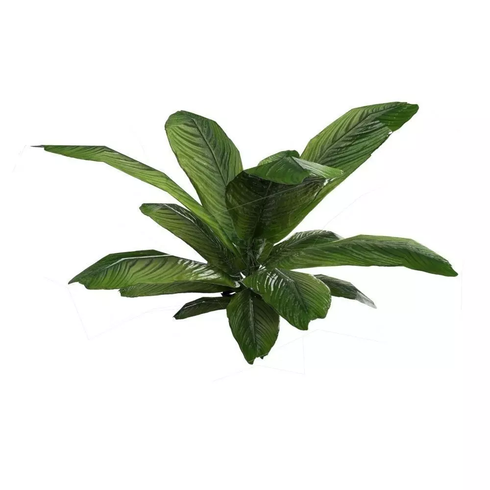 Plant Flora Artificial Low-poly 3D model_0