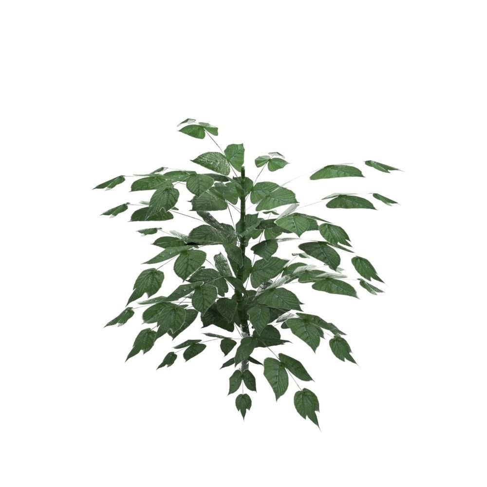 Nettle Plant Low-poly 3D model_3