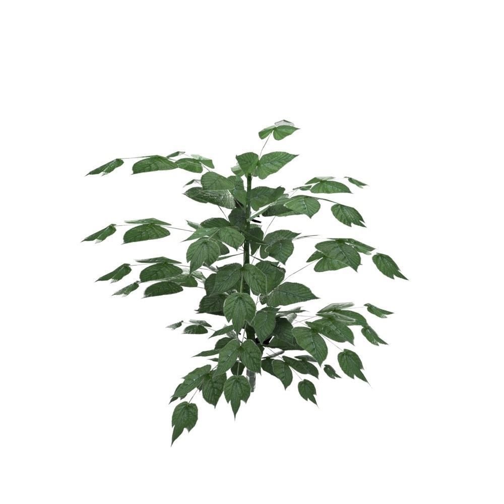 Nettle Plant Low-poly 3D model_2