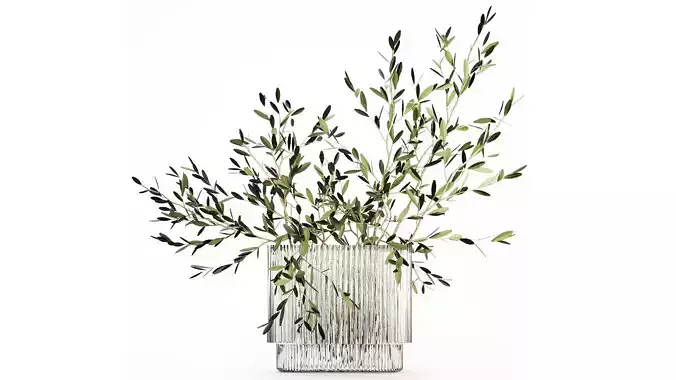 Bouquet in a glass vase of olive branches 509