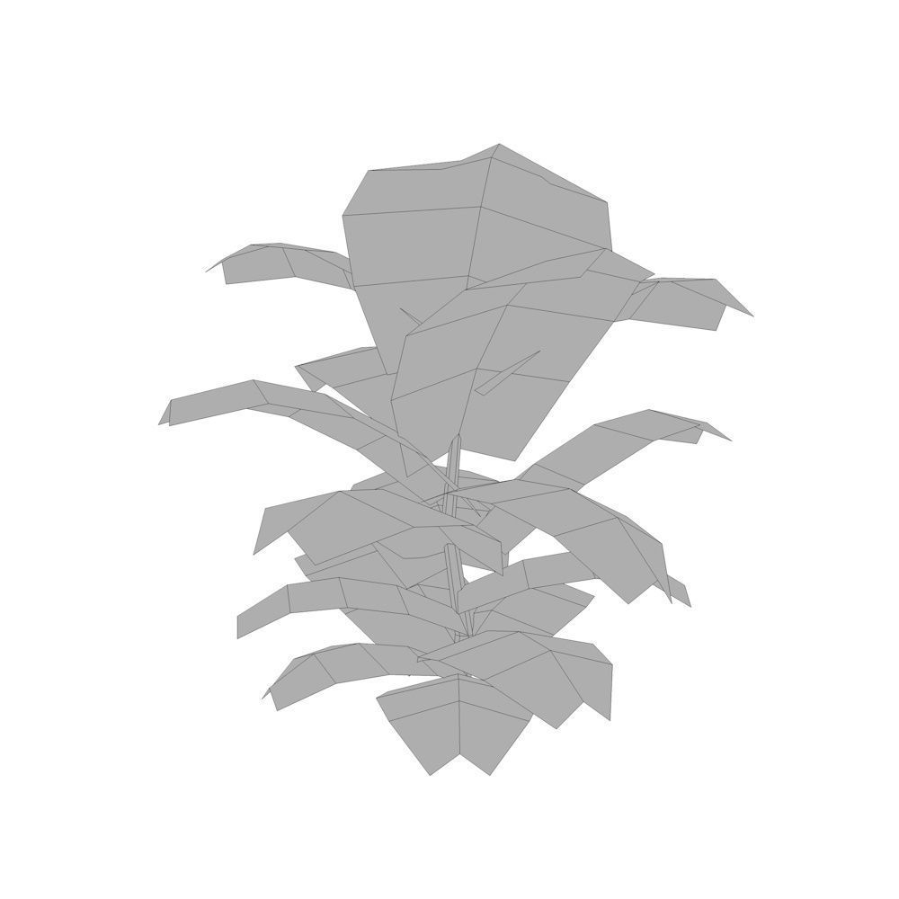 Tropical Plants Low-poly 3D model_4