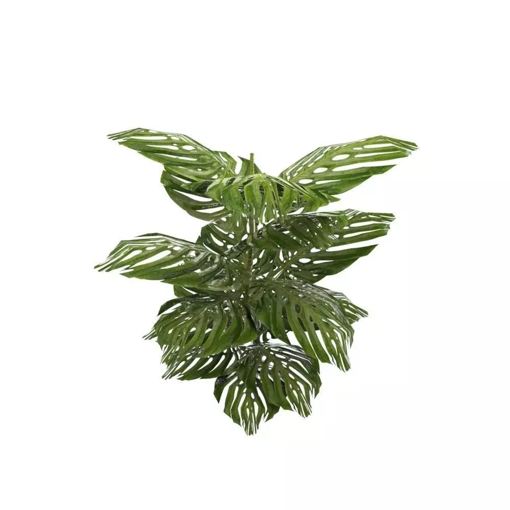 Tropical Plants Low-poly 3D model_0