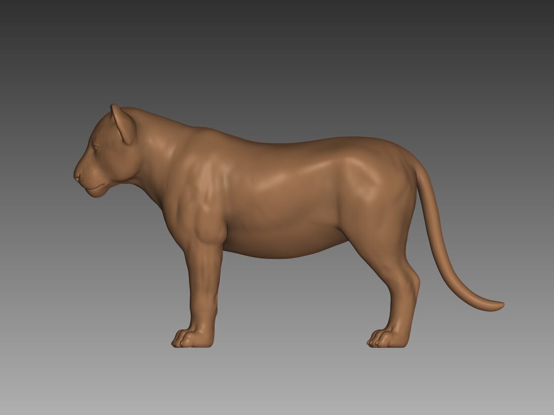 Lion Cub 3D Model 3D print model_3