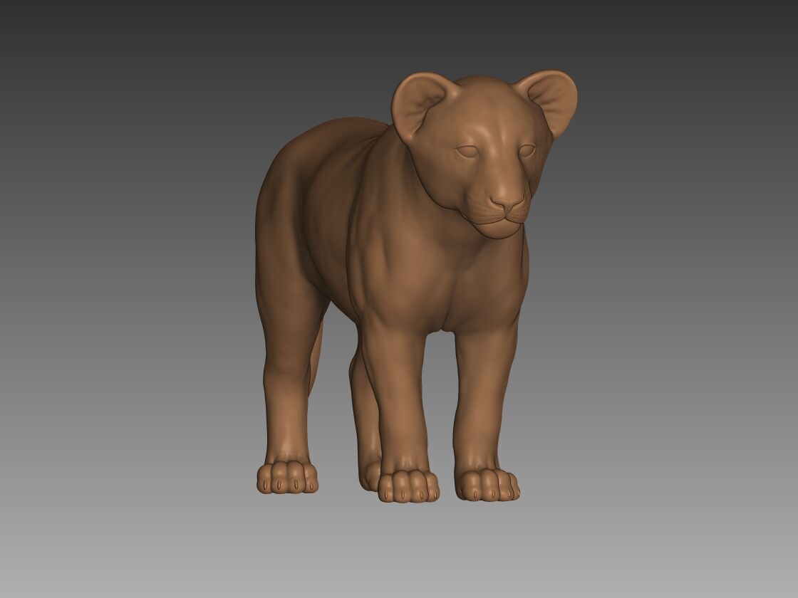 Lion Cub 3D Model 3D print model_1