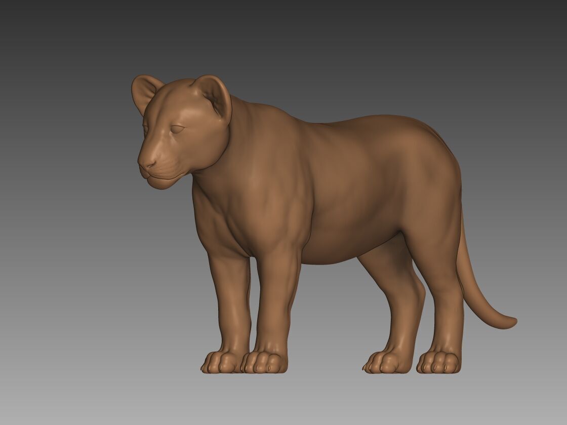 Lion Cub 3D Model 3D print model_2