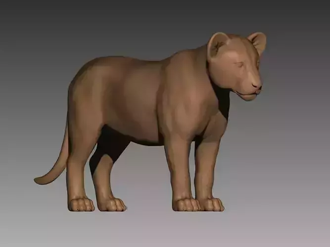 Lion Cub 3D Model