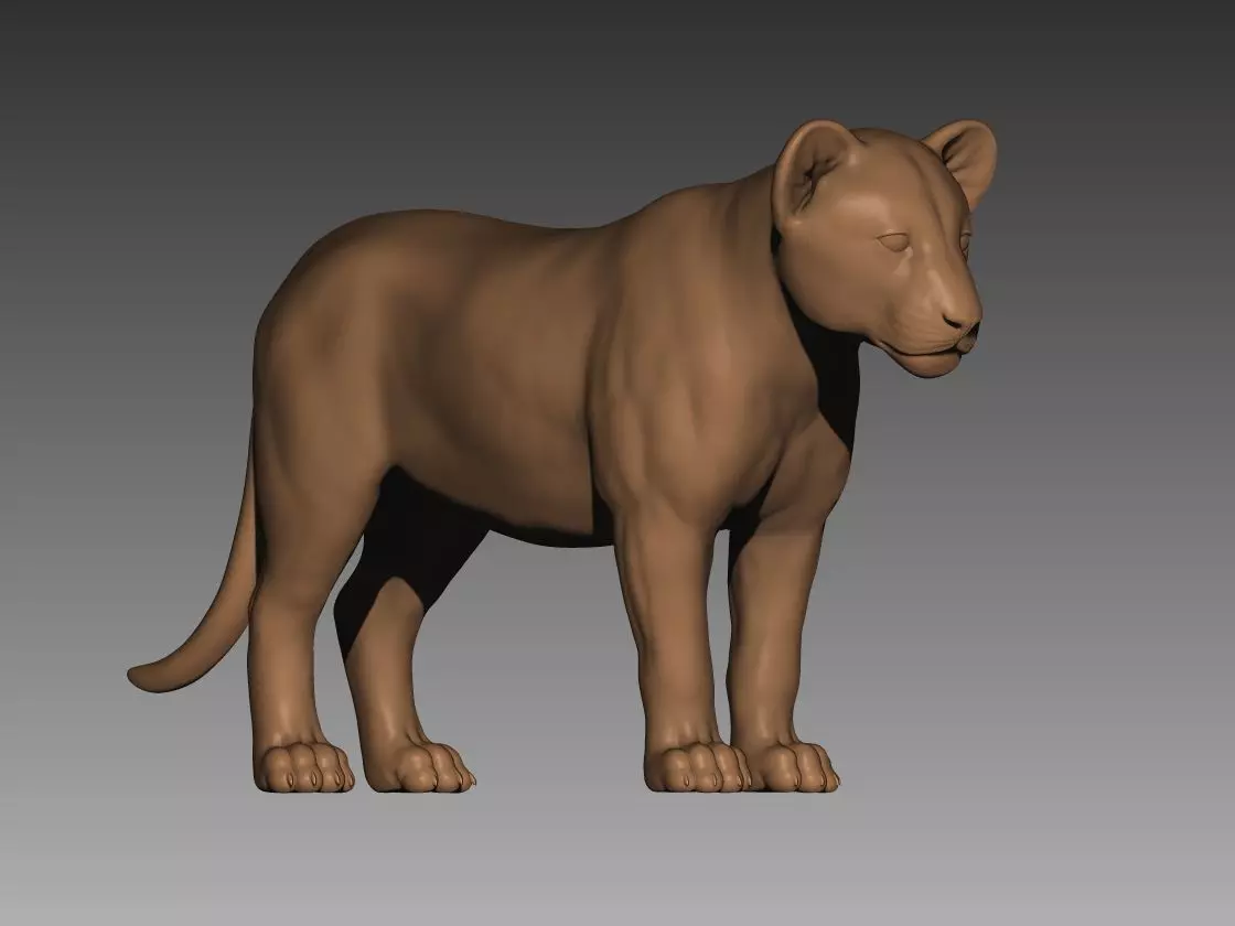 Lion Cub 3D Model 3D print model_0