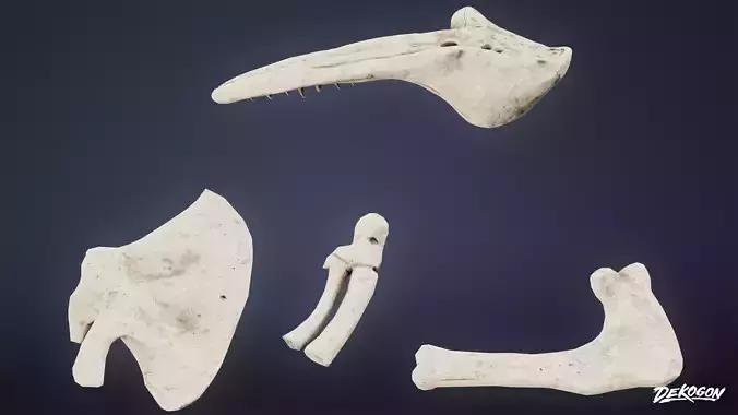 BONES - Bones Set 01 - LOW POLY