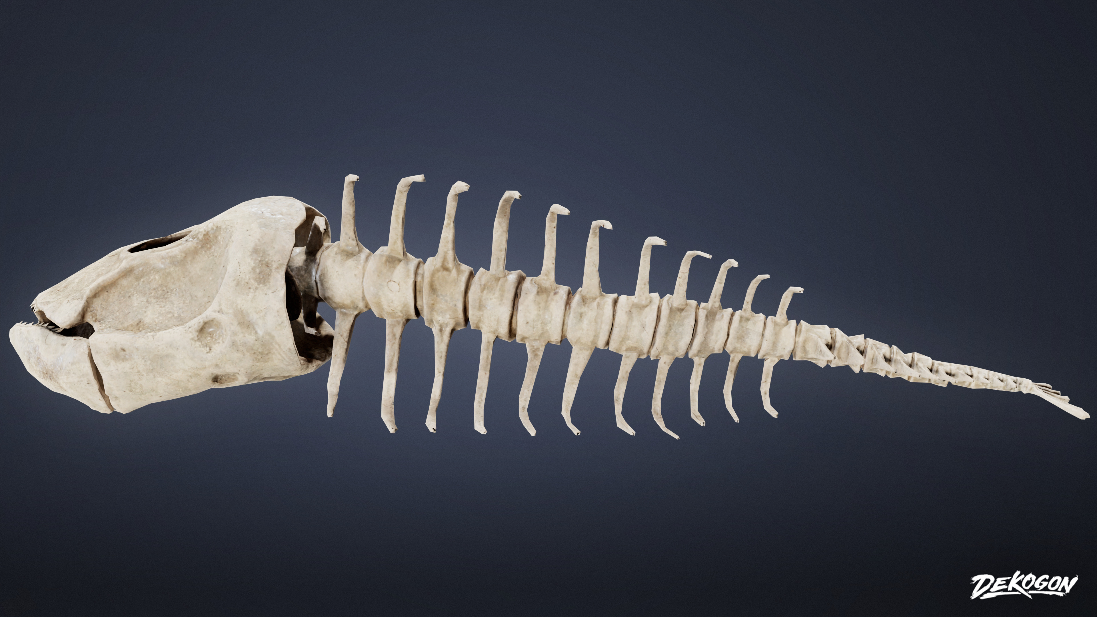 BONES - Bone Set 02 - LOW POLY Low-poly 3D model_3