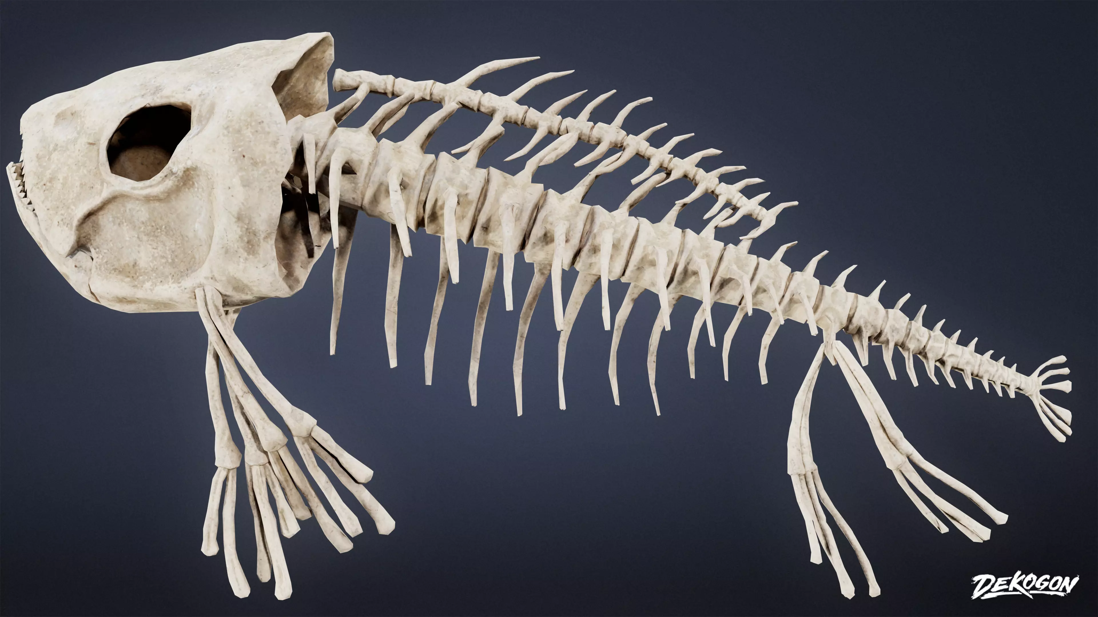 BONES - Bone Set 02 - LOW POLY Low-poly 3D model_0