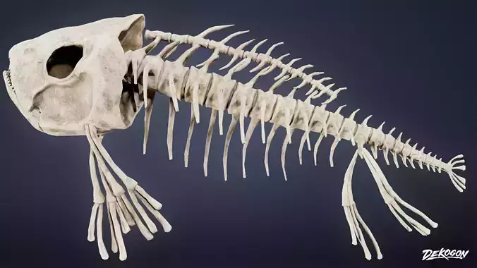 BONES - Bone Set 02 - LOW POLY